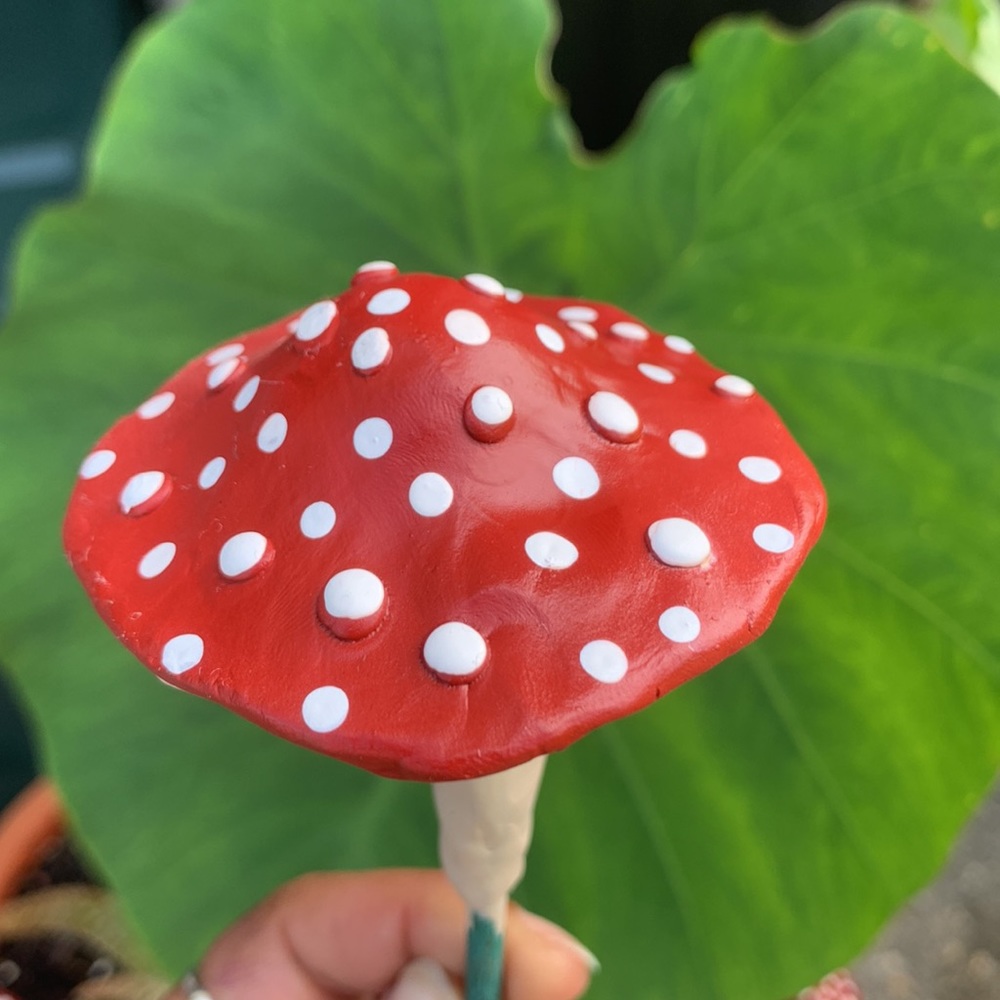 MUSHROOM π Garden Stakes w/ SPOTS! Set of 3 - Picture 3 of 14